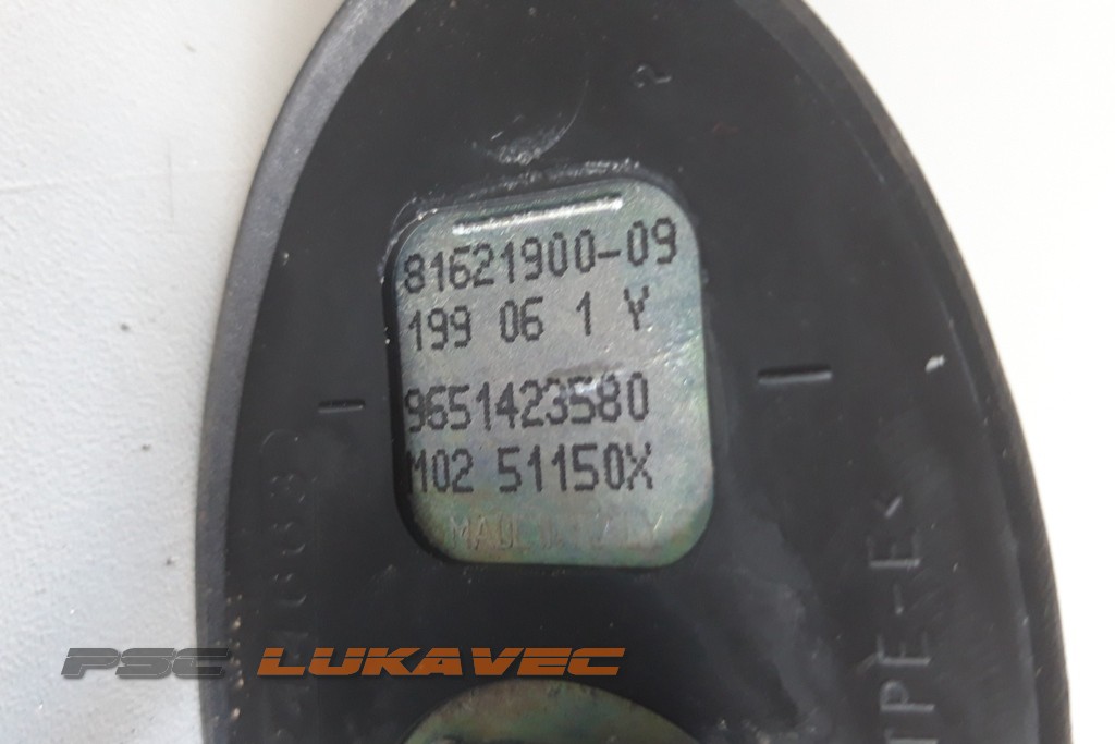 PEUGEOT 207 ANTENA 9651423580