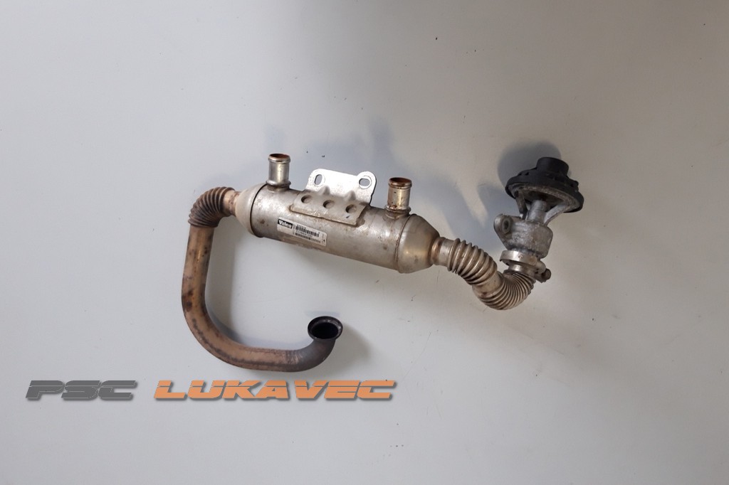 VW GOLF 5 HLADNJAK EGR VENTILA 2.0 SDi 038131513M