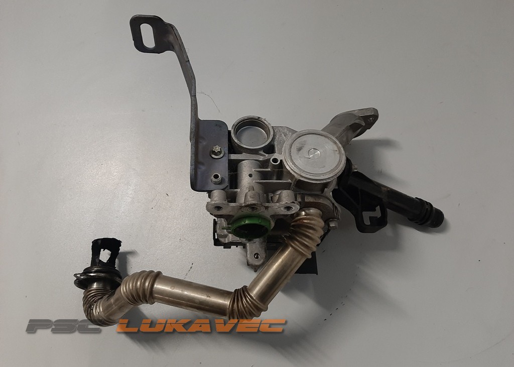 PEUGEOT 308 EGR VENTIL 1.6 BlueHDI 9807369980