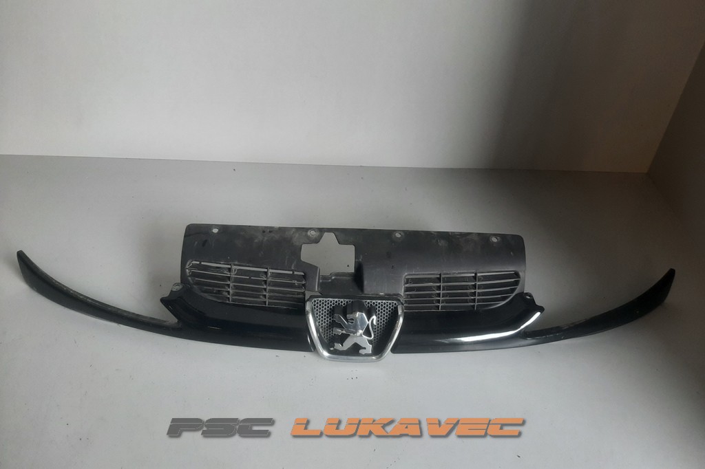 PEUGEOT 206 PREDNJA MASKA SA ZNAKOM