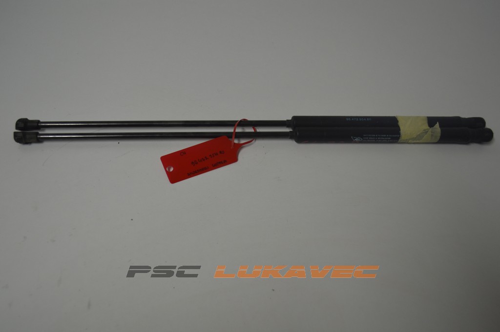CITROEN C4 AMORTIZERI GEPEKA 9647295480 2007.