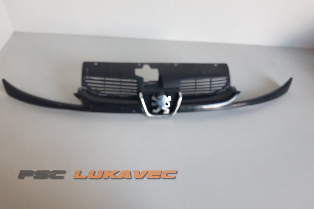 PEUGEOT 206 MASKA PREDNJEG BRANIKA