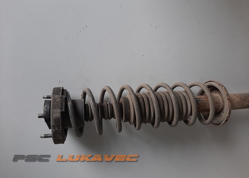 RENAULT TWINGO ZADNJI AMORTIZERI