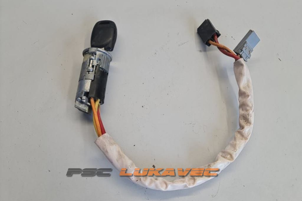 RENAULT KANGOO KONTAKT BRAVA RENAULT KANGOO BRAVA PALJENJA