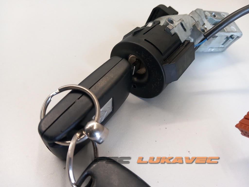 CITROEN C3 BRAVA PALJENJA N0502073 9648445180 N0502455 2005.