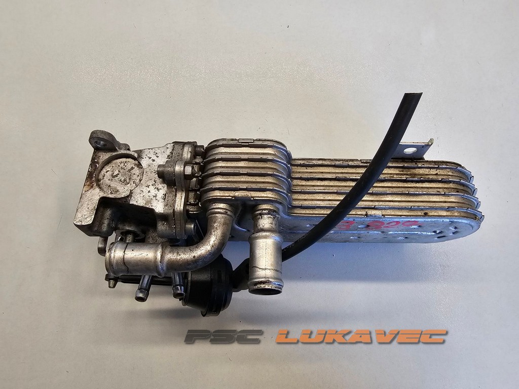 VW PASSAT B6 EGR VENTIL 2.0 TDI 03G131513J
