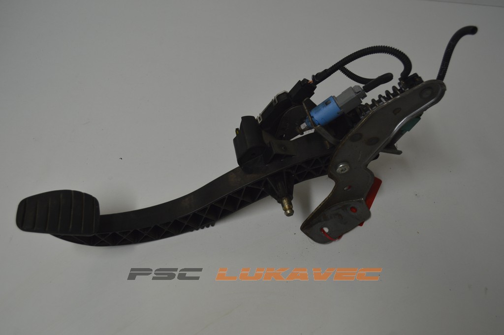 RENAULT SCENIC 2 POTENCIOMETAR GASA 1.9 DCI 8200155995 2005.